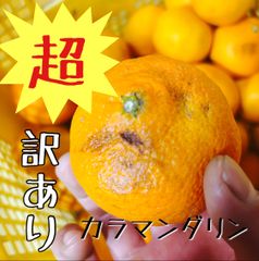 カラマンダリン 3キロ 訳あり品  商品期限の短い　 有田産サイズ混合のサムネイル
