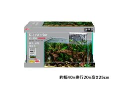 그라스테리아 FL400 슬림 필터 세트 창조 표현 무한대 관상어 용품 수조 세트 수조 GEX 무료 배송