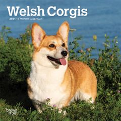 【輸入版】2024年 ウェルシュ・コーギー ミニ カレンダー / ブラウントラウト 17.8 x 35.6 cm (Welsh Corgis  Calendar)