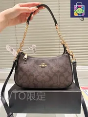 【今日特価】COACH アームマージャンバッグ サイズ 24×14cm レトロカラー-WTO輸入1