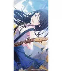 【中古】キャラカード 星乃一歌 箔押しイラストカード 「プロジェクトセカイ カラフルステージ! feat. 初音ミク サマーフェア2022 in アニメイト」 対象商品購入特典