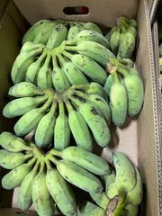 沖縄県産　銀バナナ　5キロ