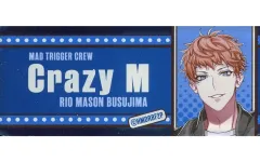 【中古】バッジ・ビンズ 毒島メイソン理鶯 「ヒプノシスマイク -Division Rap Battle- Hypnosis Flava2＠Mixalive TOKYO MCネームバッジコレクション Hypnosis Flava2 Ver.」