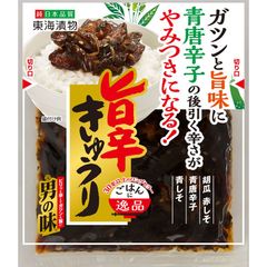 東海漬物 旨辛きゅうり 90g×5袋　漬物 胡瓜 男の味 ご飯のお供