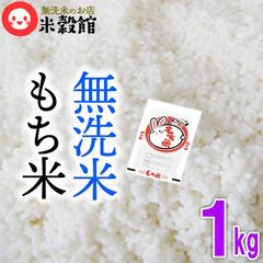 もち米 餅米 無洗米 1kg 熊本県産ヒヨクモチ 九州 送料無料 おためし 少量