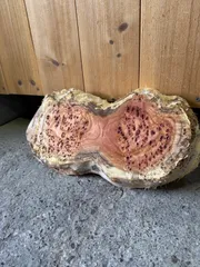 2025年最新】一枚板 花台の人気アイテム - メルカリ