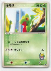 フライゴン PROMO ADV-Pプロモカード 033/ADV-P フライゴン PROMO ADV-Pプロモカード 033/ADV-P - メルカリ