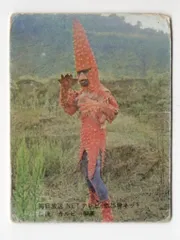 2025年最新】ヒトデンジャーの人気アイテム - メルカリ