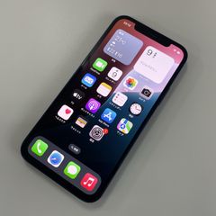 docomo iPhone 12 256GB ブルー