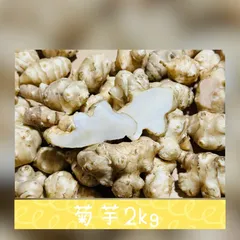 菊芋　2kg キクイモ　きくいも　スーパーフード　イヌリン　美容　健康　産地直送