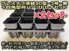 プレステラ深鉢90型(スリット3号)黒or白(12鉢)＋四角型枠ハーフトレイセット×2セット＊多肉植物・塊根植物コーデックス・アガベ・サボテン＠フラワーショップ江口