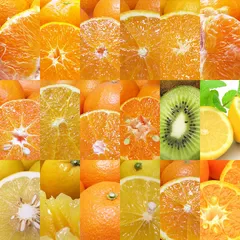 福袋 店長が選んだ旬の柑橘福袋 8kg 訳あり ご家庭用 サイズ不揃い みかん 愛媛みかん 詰め合わせ 果物 愛媛産 国産 柑橘 柑橘類 フルーツ 蜜柑 Smile Orange