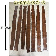 user_eca3e459様専用　へび革 ハギレ 革 レザー ハンドメイド