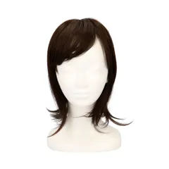 ☆ TNC.耐熱ナチュラルカラー ☆ プリシラ 五分ウィッグ ニュアンスストレート GB-01 プリシラ ウィッグ 部分ウィッグ ヘアピース 自然 ハーフウィッグ ミディアム ストレート ボブ つむじ かつら つけ毛 部分かつら おしゃれ ブラック ブラウン