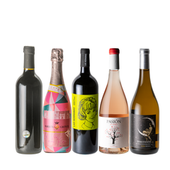 ＜自然派ワイン＞スペインナチュール赤白ロゼ泡5本セット