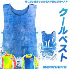 冷却ベスト 水冷 クールベスト 冷感ベスト 空調服 物理冷却 熱中症 猛暑対策 冷却服 ひんやりグッズ 保冷 工事現場 工場内 屋外 スポーツ 冷感 涼しい 保冷服 農業 屋外作業 釣り 暑さ対策 夏用