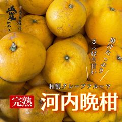 愛媛玉津産　完熟　河内晩柑　家庭用9kg