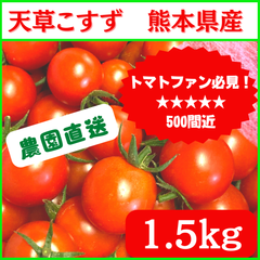 ミニトマト『天草こすず』1.5㎏　熊本県産