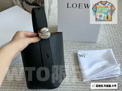 【今日WTO】Loewe Pebble Small ロエベ ペブル スモール-WTO輸入2-OYL72