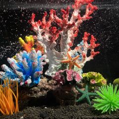 5個入り 人工サンゴ礁 水槽装飾セット、カラフルな樹脂製水槽オーナメント、耐久性のある海洋テーマの装飾、リアルなヒトデと海藻のアクセント、お手入れ簡単