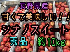 安い！長野県産シナノスイート約10kg  秀品りんご　Apple  フルーツ　常温便