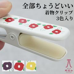 新品 お仕立て上り 阿木燿子 さん 着用デザイン 美しいキモノ
