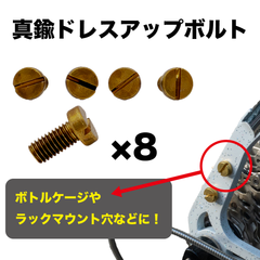 真鍮マイナスネジ ボルトM5×10mm 8本セット