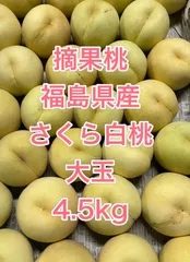 2025年最新】桃 加工用の人気アイテム - メルカリ
