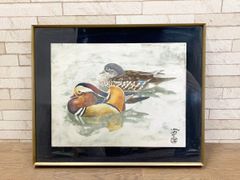 池田洛中 絵画 鴨 カモ 日本画 インテリア 額装 オシドリ オカヨシガモ 額寸68cm×56cm キズあり (他133)