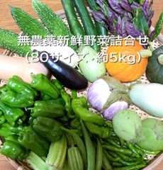 無農薬新鮮野菜詰合せ（80サイズ・約5kg)