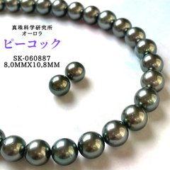 オーロラピーコック　8,0mmx10,8mm