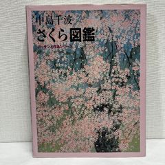 中島千波 さくら図鑑 デッサンと作品シリーズ 求龍堂グラフィックス