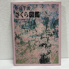 2025年最新】中島千波 桜の人気アイテム - メルカリ