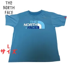 古着　ノースフェイス　THE NORTH FACE 半袖　水色　Lサイズ　アウトドア　キャンプ　タウンユース