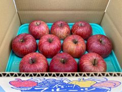 信州産「赤田の家」サンふじ　10個入り3k箱
