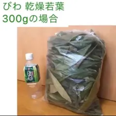 びわ 乾燥葉 約300g 【栽培期間中 農薬不使用】うさぎ チンチラ