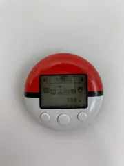 動作確認済/ポケウォーカー2個セット DS用ソフト ソフト・ポケウォーカー動作確認済み