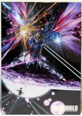 L BUILD デスティニーガンダム（フルパッケージ）新品未使用 事後CTM2次抽選販売】METAL BUILD デスティニーガンダム