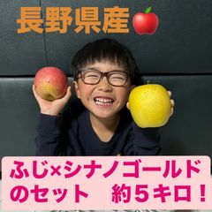 【送料無料】長野県産　ふじ×シナノゴールドのセット　約５キロ