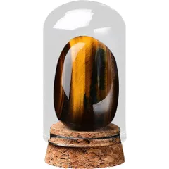 2025年最新】標本瓶の人気アイテム - メルカリ