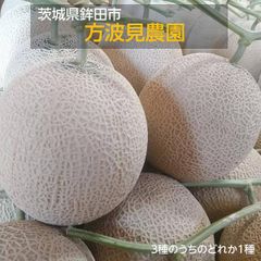 メロン 【方波見農園】 むつみレッド イバラキング クインシー どれか1種 5kg 3～5玉 糖度16度以上 贈答用 母の日 父の日 茨城県鉾田市 《5/上旬～5/中旬より出荷》