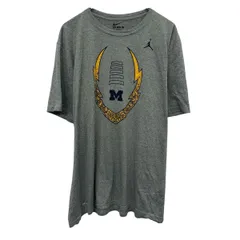 NIKE プリントTシャツ 2XL グレー ナイキ プルオーバー ビッグサイズ スポーティー カットソー 古着卸 アメリカ仕入 a704-5923