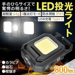 LED投光ライト 投光器 LED ライト 小型 防水 カラビナ 充電式 作業灯 ランタン ミニ COB 懐中電灯 釣り アウトドア キャンプ 登山 屋外 防災 sl101