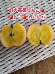 山形県天童産【高徳りんご】小玉chan
