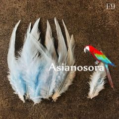 ◾️⭐︎【F9水色】高品質 羽根 フェザー ハンドメイド 素材 鳥 パーツ　鳥の羽根