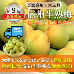 信州半熟梅 ～甘い香りに包まれて～【内容量】約9kg 【配送方法】クール配送【サイズ】L以上【品目】梅（うめ）【品種】当店お任せ【産地】長野県【規格】ご家庭用A品B品混合【詰め方】バラ詰め【配送までの日数】1～4日