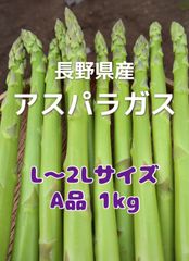 長崎産アスパラガスB品 太め 500グラム - メルカリ