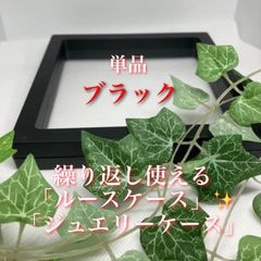 繰り返し使える✨ルースケース✨【ブラック】「14×14㎝」（スタンド無し）✨