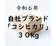 2025年最新】30KG 古米の人気アイテム - メルカリ