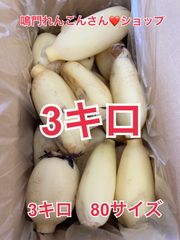 kitty様専用☆辛味大根『おいばね』3L 5kg - メルカリ